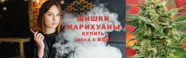 PSILOCYBIN Богданович