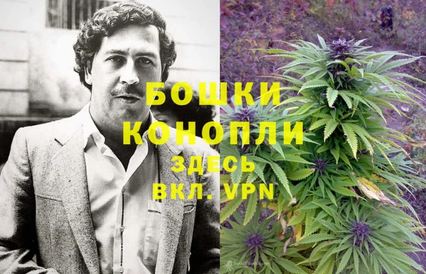 PSILOCYBIN Богданович