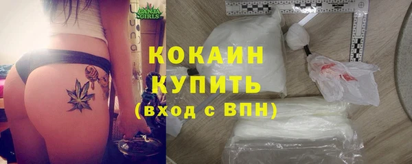 PSILOCYBIN Богданович