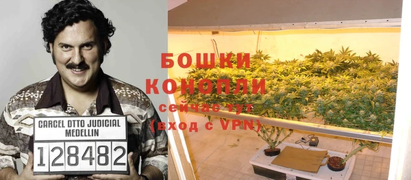 гашик Богородск