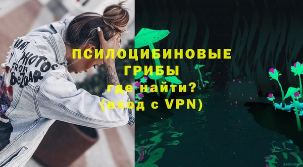 PSILOCYBIN Богданович