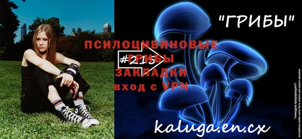 экстази Богородицк