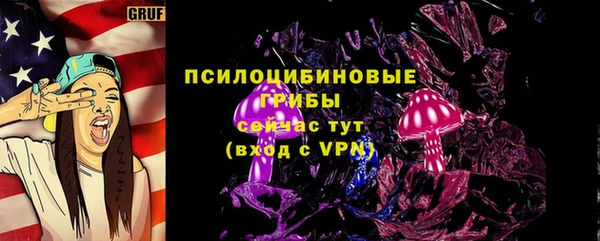 PSILOCYBIN Богданович