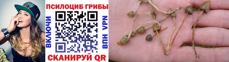 Псилоцибиновые грибы ЛСД даркнет сайт Красновишерск